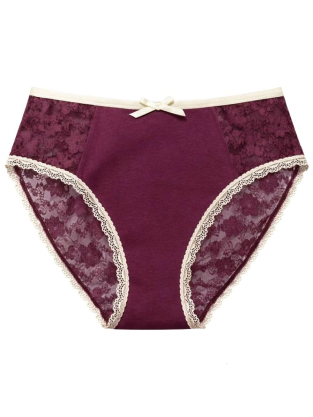 Splendies Ruby Bikini Panties 4X (26/28) Plum Floral Mesh NWT Underwear